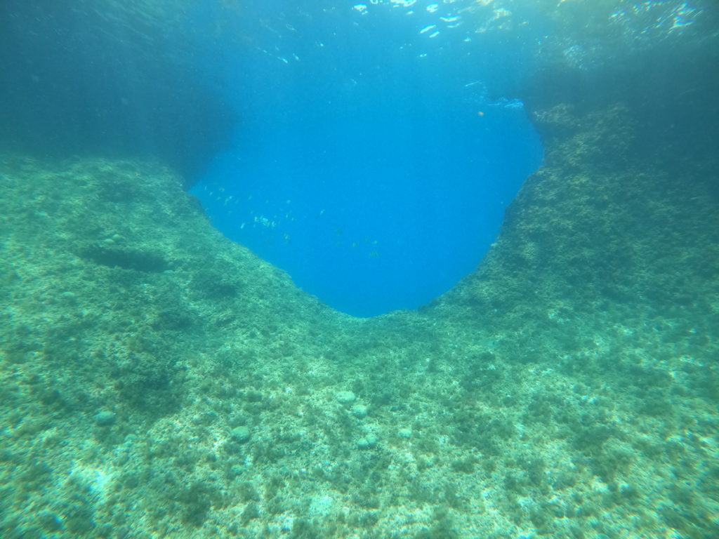 DCIM100GOPROGOPR0135.JPG
