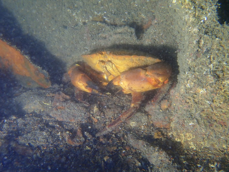 P4161246