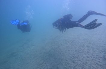 WhatsApp Image 2023-06-03 at 21.08.36