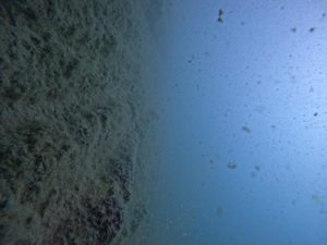 WhatsApp Image 2023-06-03 at 21.08.46