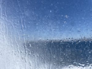 IMG_1329