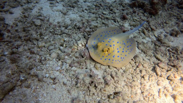 WhatsApp Image 2024-03-30 at 19.44.43