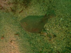 WhatsApp Image 2024-10-19 at 19.17.00