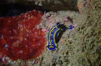 WhatsApp Image 2024-10-19 at 19.17.12