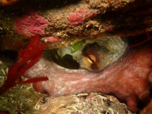 WhatsApp Image 2024-10-21 at 16.15.05(1)