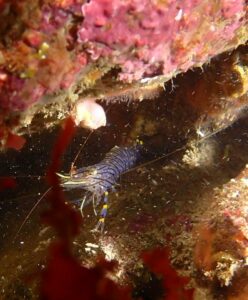 WhatsApp Image 2024-10-21 at 16.15.06(1)