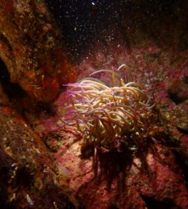 WhatsApp Image 2024-10-21 at 16.15.06(2)