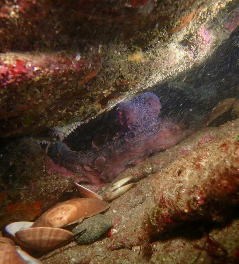 WhatsApp Image 2024-10-21 at 16.15.07