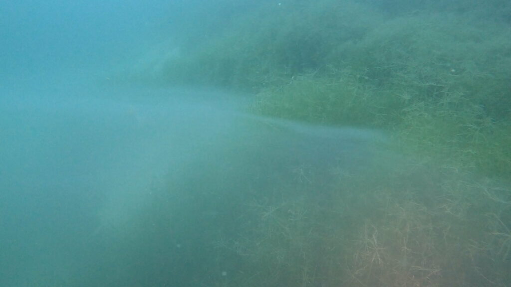 GX010566_1759136977623